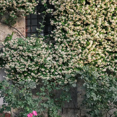 Country house Borgo Argenina *