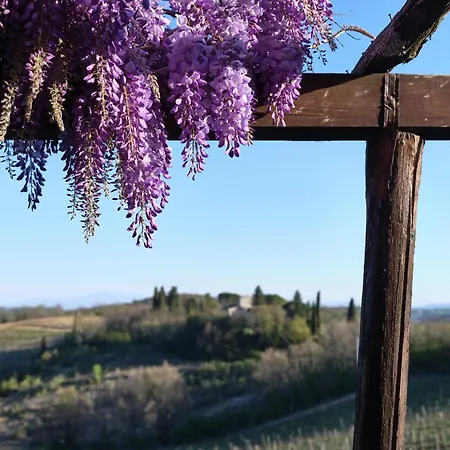 Borgo Argenina